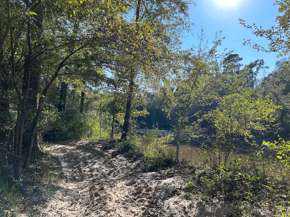 Tbd Lindsey Road Silsbee, TX 77656 - Photo 19 of 20