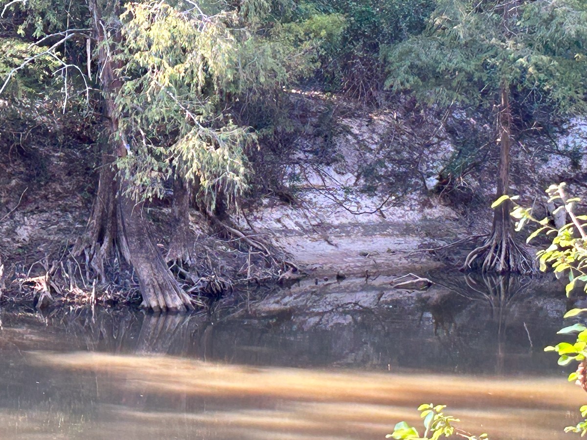 Tbd Lindsey Road Silsbee, TX 77656 - Photo 2 of 20