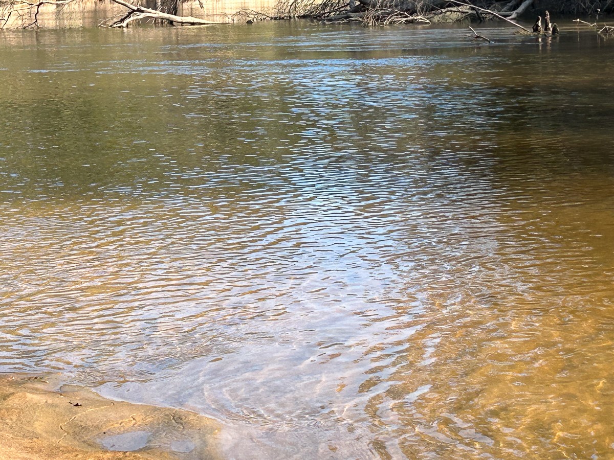 Tbd Lindsey Road Silsbee, TX 77656 - Photo 4 of 20