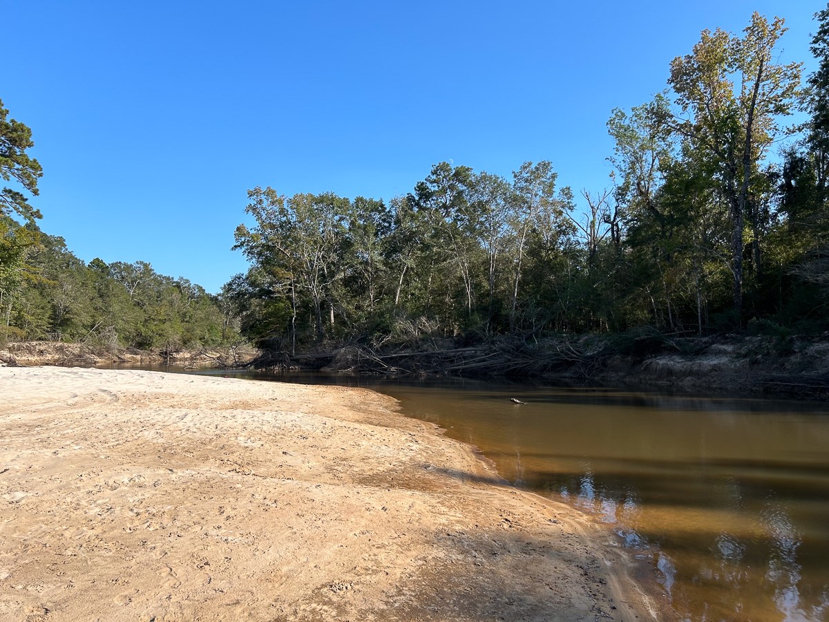 Tbd Lindsey Road Silsbee, TX 77656 - Photo 5 of 20