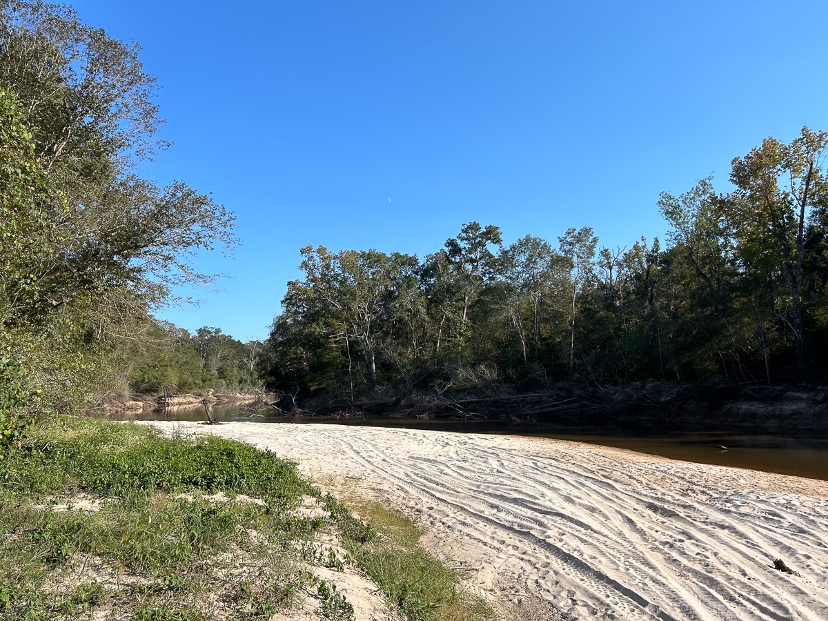 Tbd Lindsey Road Silsbee, TX 77656 - Photo 6 of 20