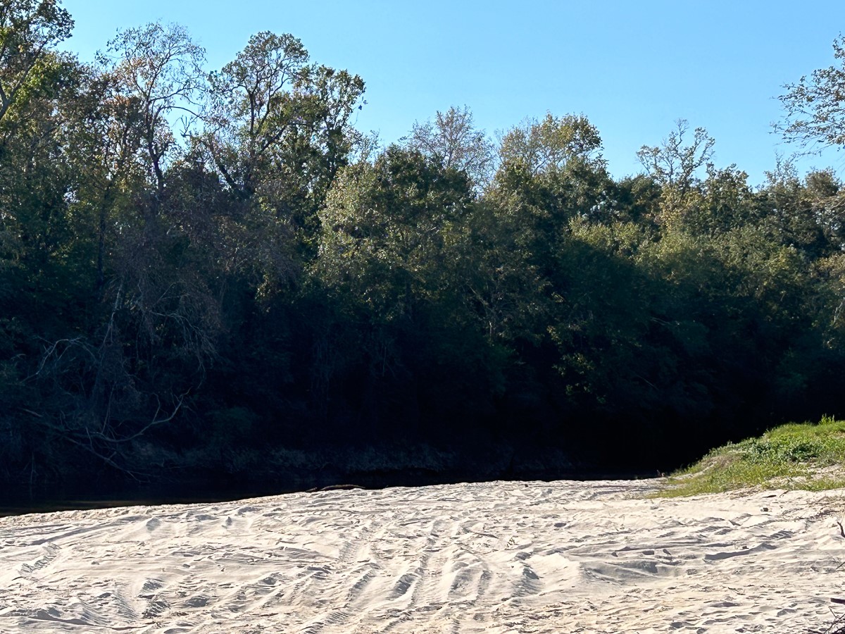 Tbd Lindsey Road Silsbee, TX 77656 - Photo 8 of 20