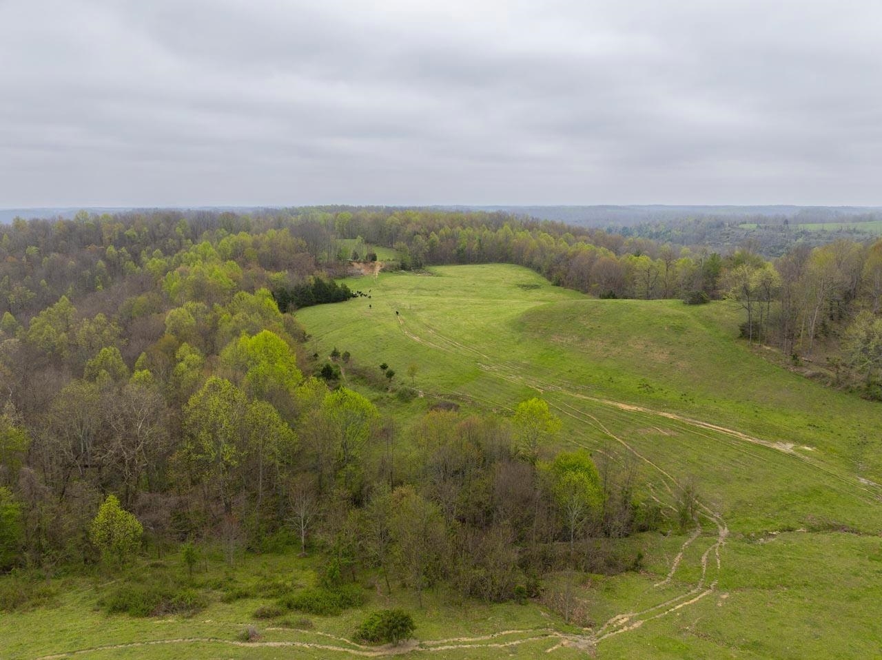 1550 Cooper Ridge Road Vanceburg, KY 41179 - Photo 26 of 32
