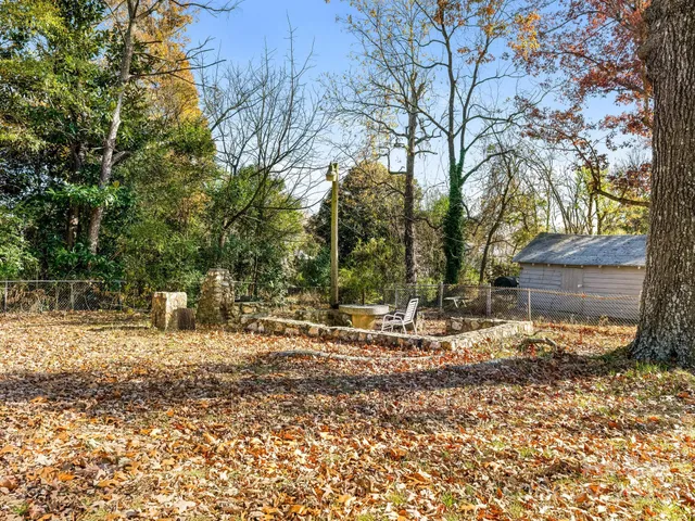 a view of a tree in the middle of a yard