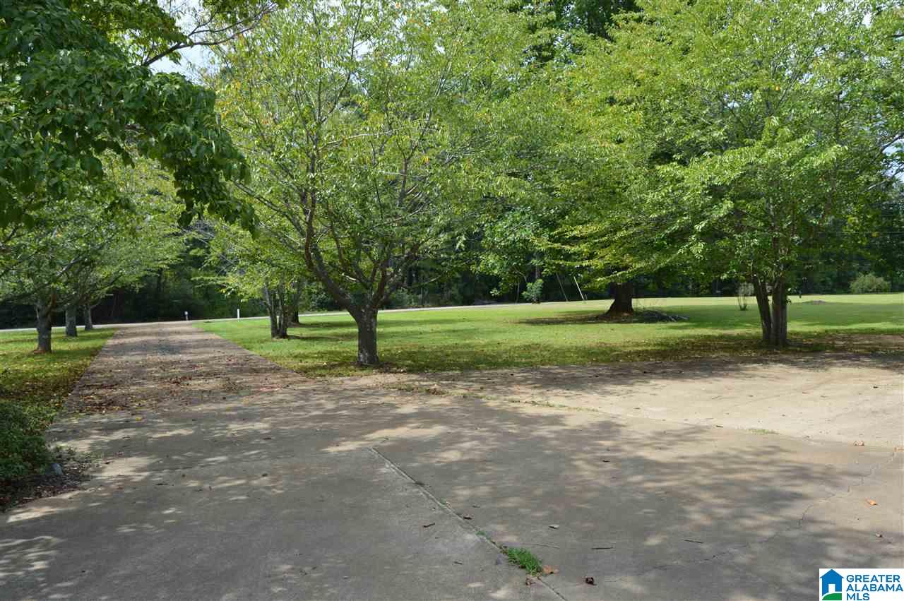 843 Mountain View Road Cordova, AL 35550 - Photo 33 of 37