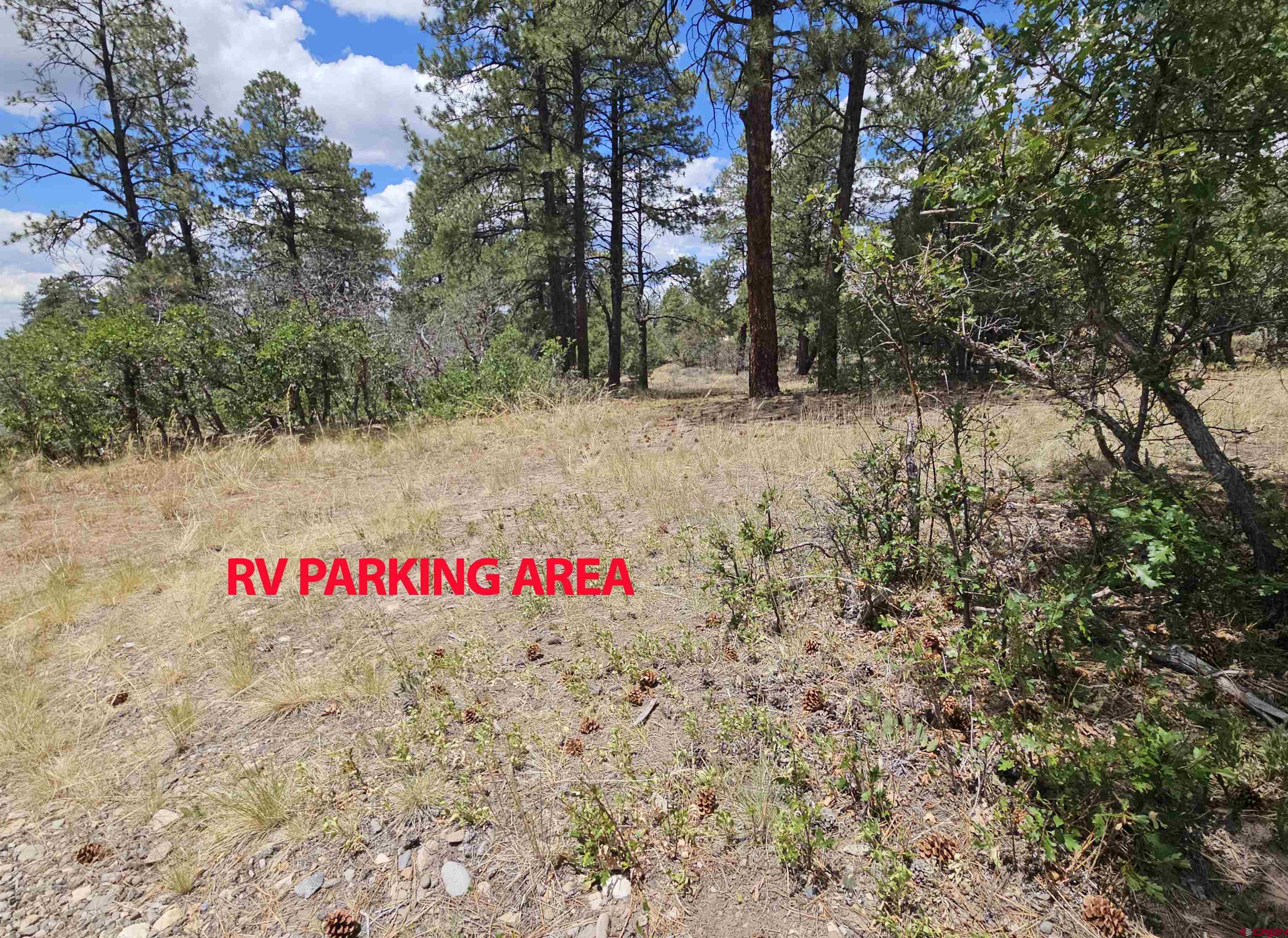 543 Justin's Road Pagosa Springs, CO 81147 - Photo 19 of 41