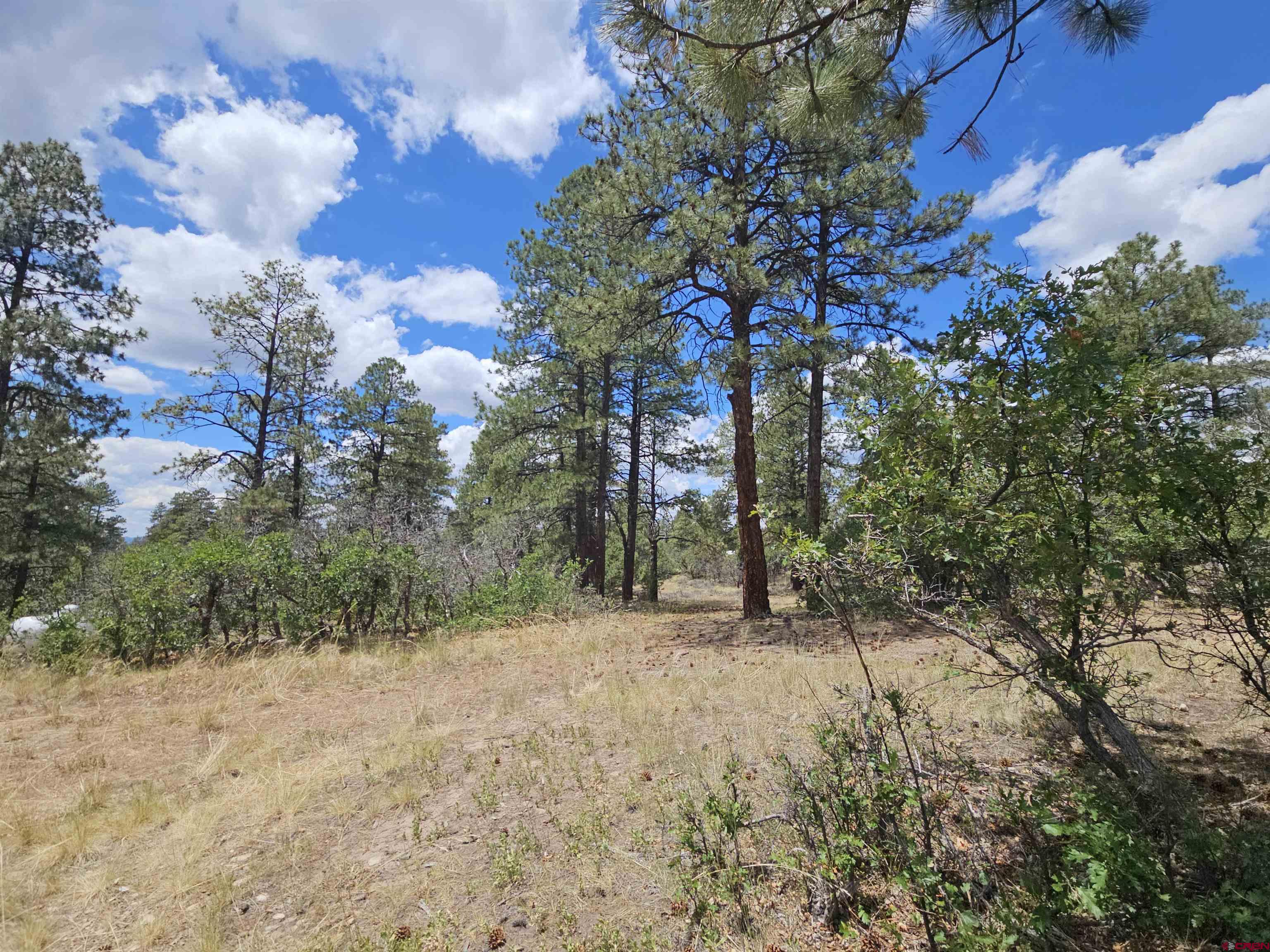 543 Justin's Road Pagosa Springs, CO 81147 - Photo 23 of 41