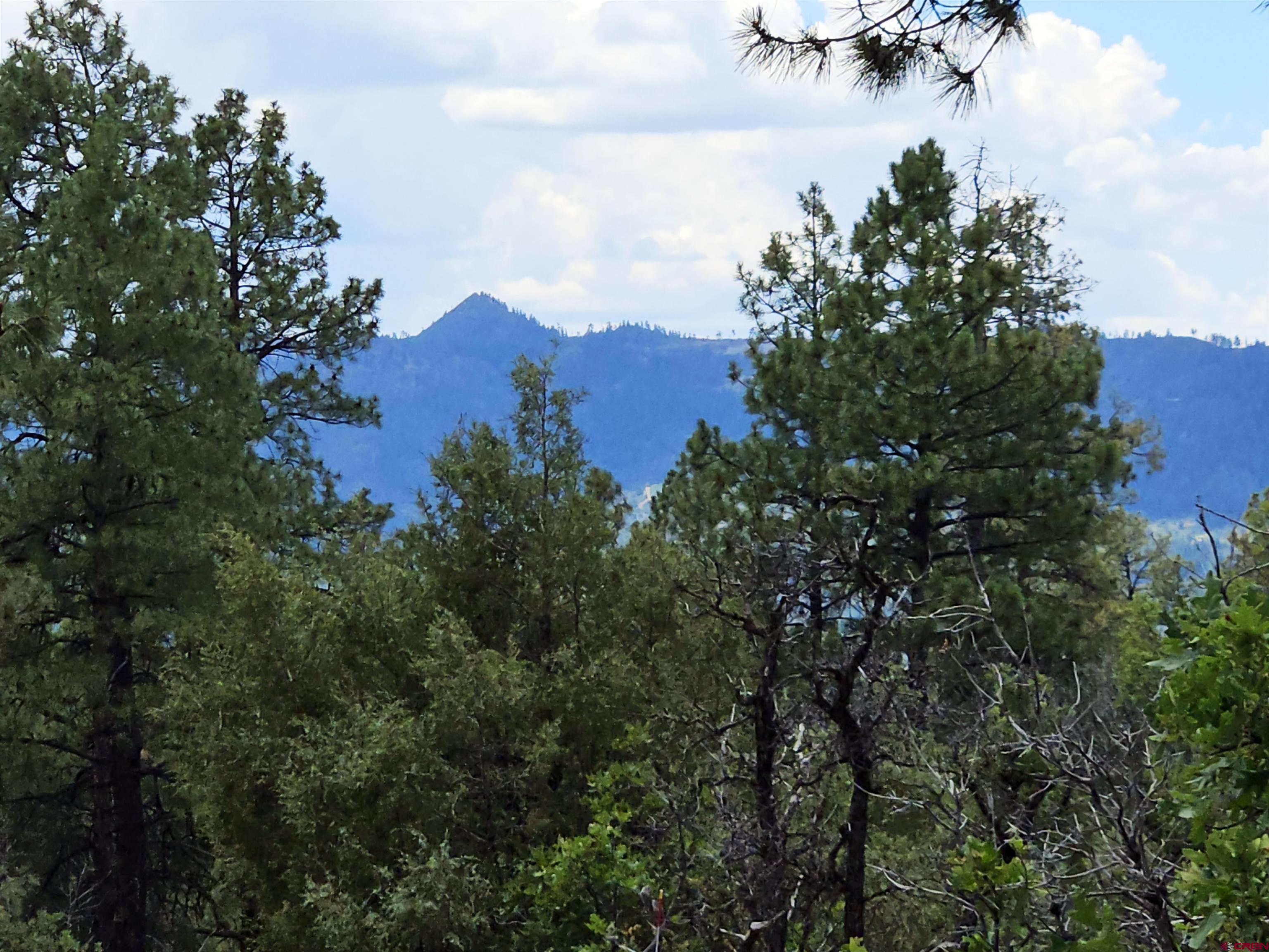 543 Justin's Road Pagosa Springs, CO 81147 - Photo 3 of 41 a view of a house with a mountain in the background