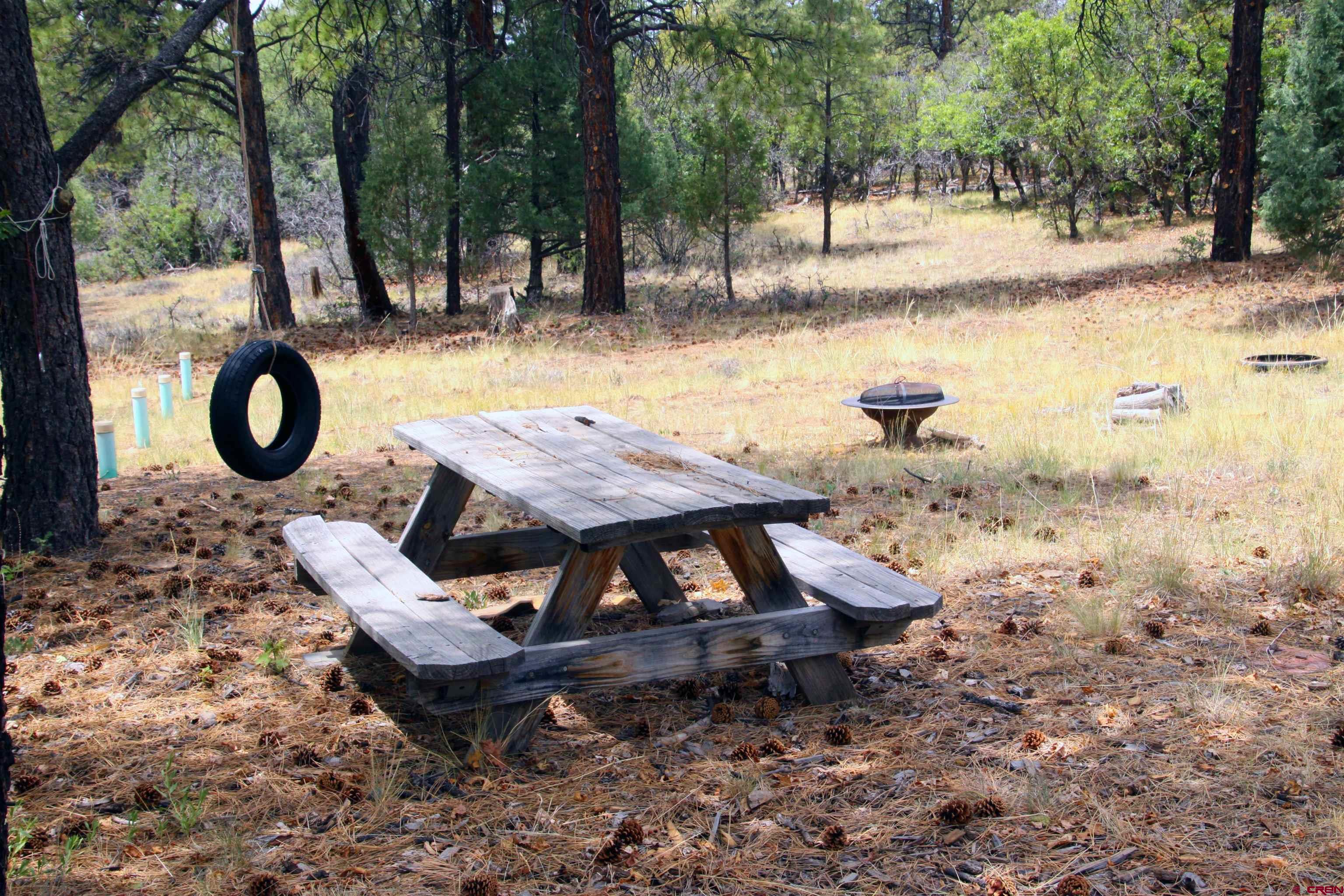 543 Justin's Road Pagosa Springs, CO 81147 - Photo 33 of 41 a view of swimming pool with a patio