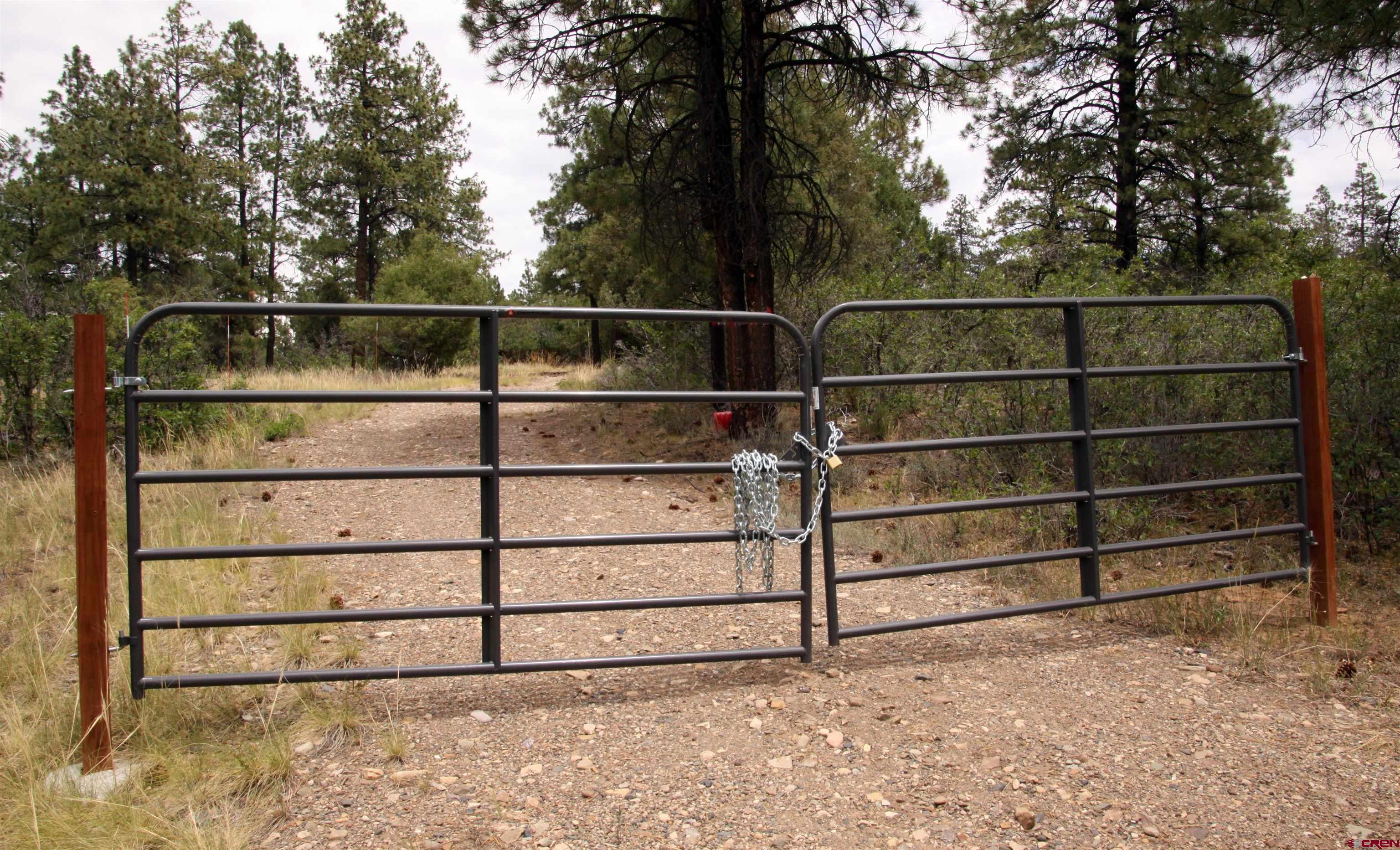 543 Justin's Road Pagosa Springs, CO 81147 - Photo 35 of 41 a view of a backyard
