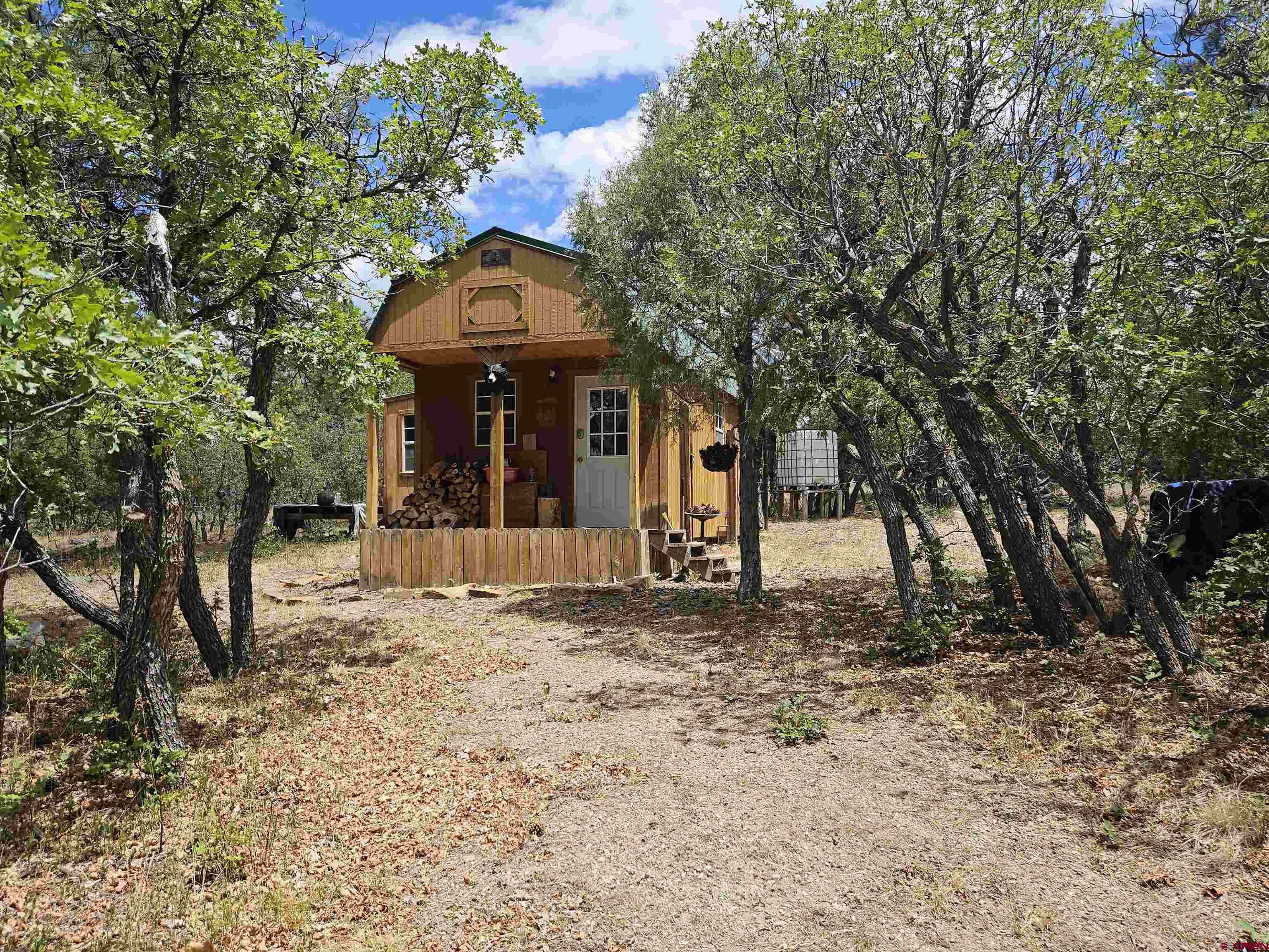 543 Justin's Road Pagosa Springs, CO 81147 - Photo 4 of 41 a front view of a house with a yard