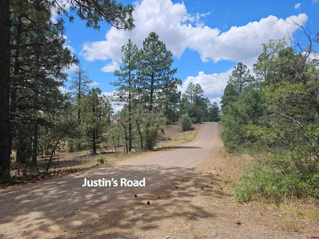 $149,900 | 543 Justin's Road, Pagosa Springs, CO 81147