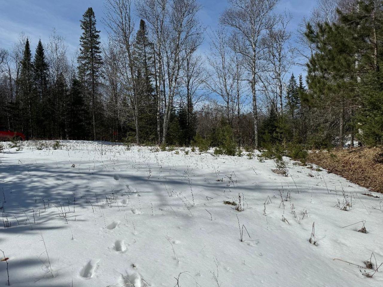 On West Elmers Road Mercer, WI 54547 - Photo 20 of 24 Gallery Image 20