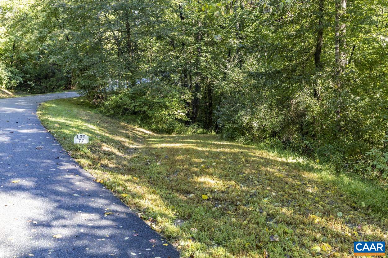 a view of a yard with plants