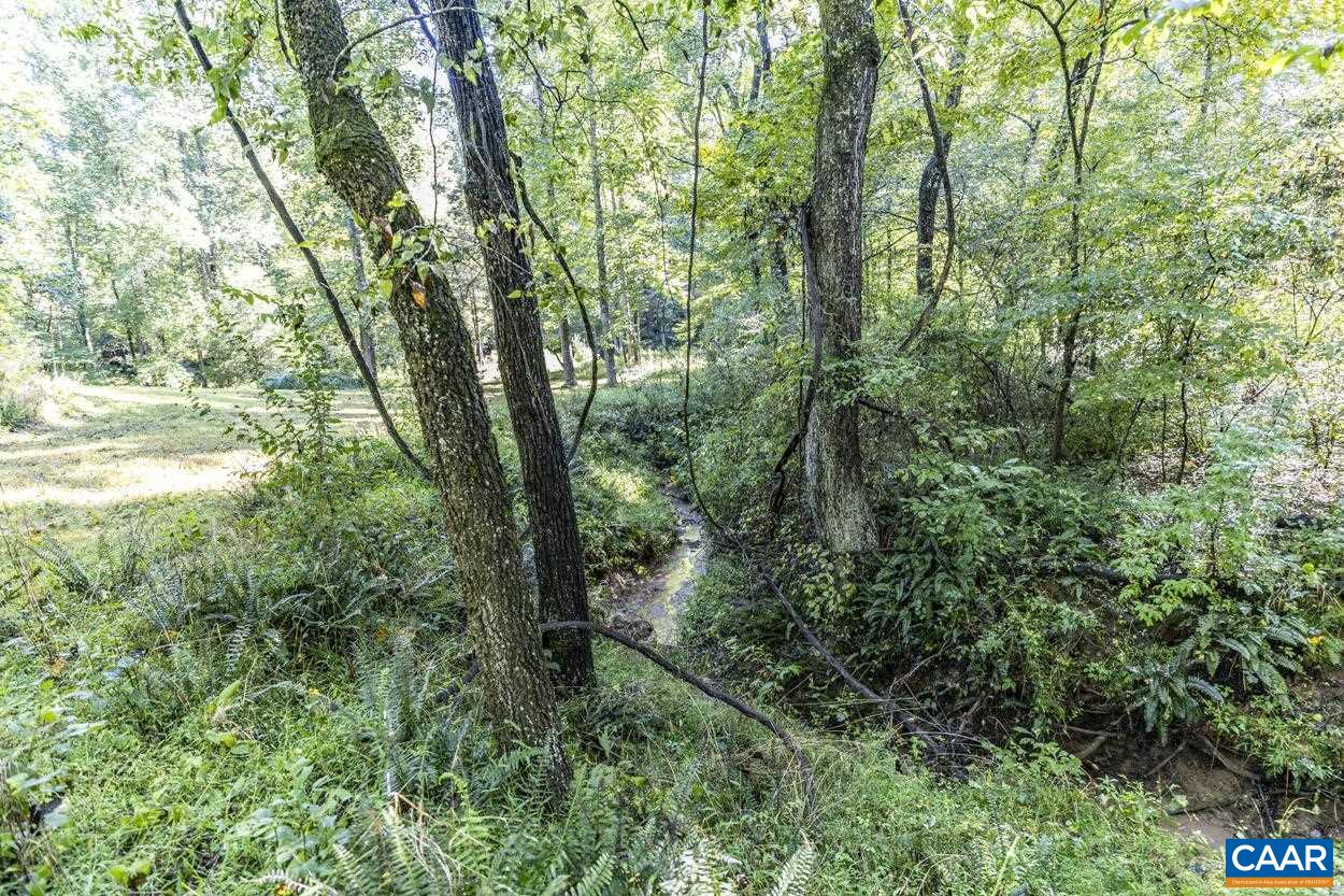 Pine Torch Lane Madison, VA 22727 - Photo 14 of 17 a view of forest