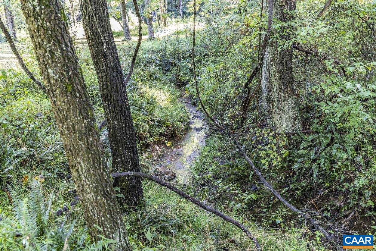 Pine Torch Lane Madison, VA 22727 - Photo 15 of 17 a view of a forest with trees