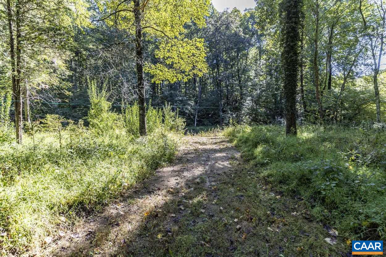 Pine Torch Lane Madison, VA 22727 - Photo 16 of 17 a big yard with lots of green space and deers