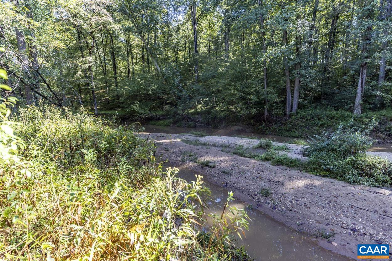 Pine Torch Lane Madison, VA 22727 - Photo 17 of 17 a big yard with lots of green space and trees