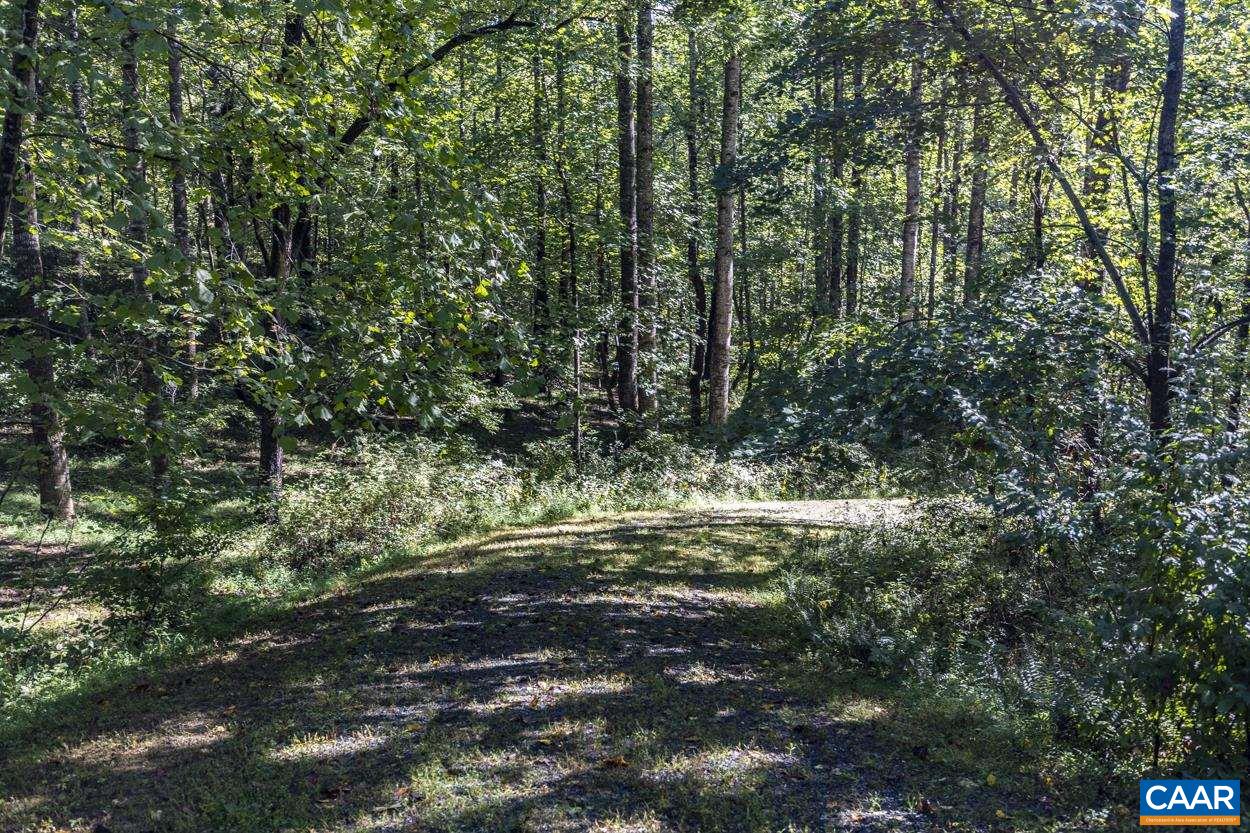 Pine Torch Lane Madison, VA 22727 - Photo 3 of 17 a big yard with lots of green space and trees