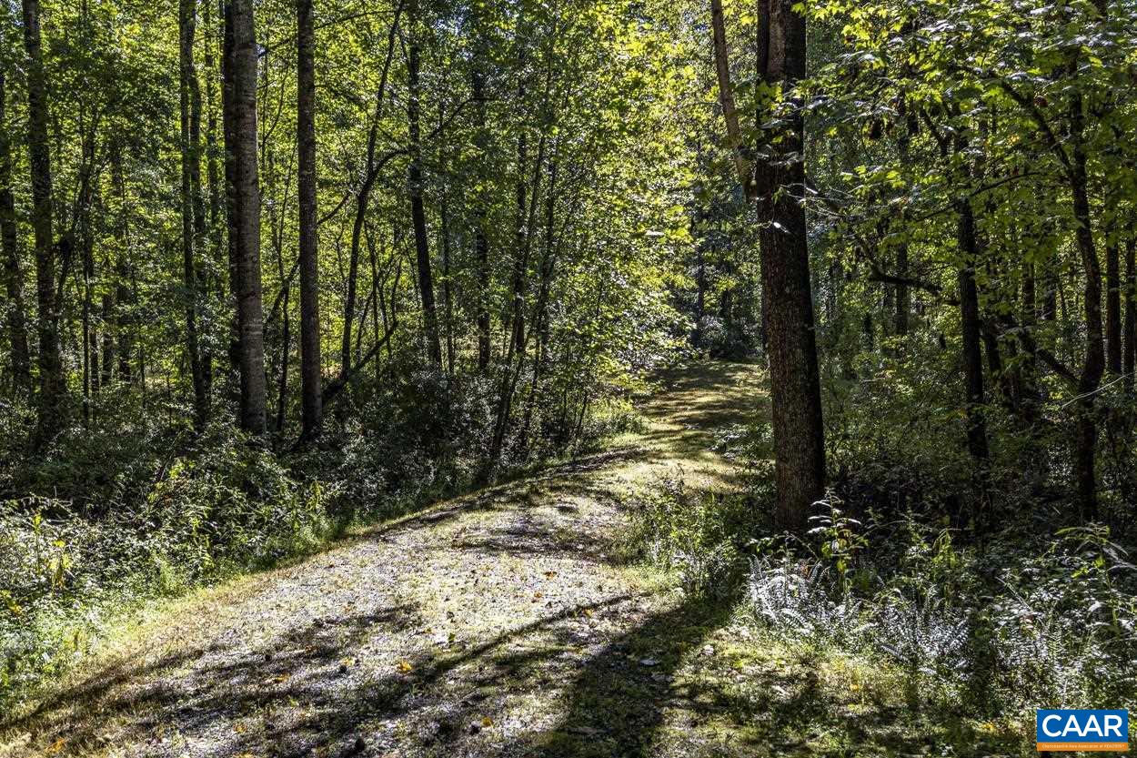 Pine Torch Lane Madison, VA 22727 - Photo 4 of 17 a view of a yard with plants and trees