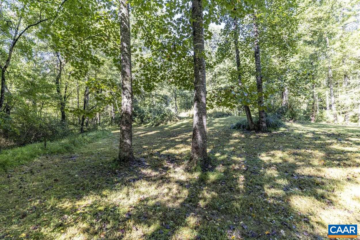 Pine Torch Lane Madison, VA 22727 - Photo 7 of 17 a view of a forest with trees in the background