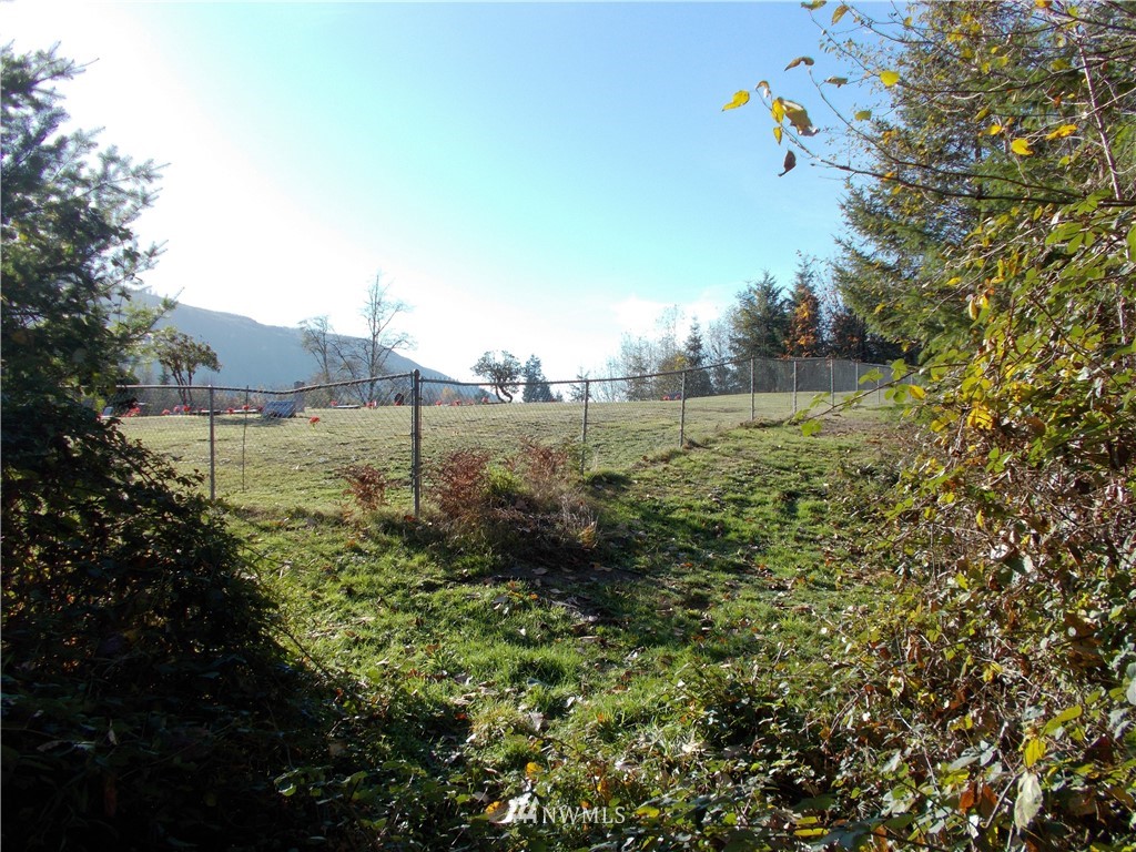 -xx Buttercup Road Morton, WA 98356 - Photo 4 of 18 Gallery Image 4
