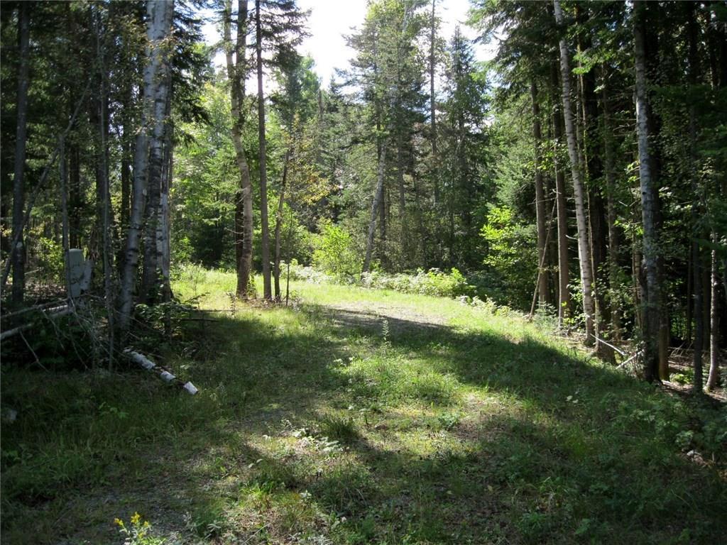 16 Mill Brook Road Sandy River Plt, ME 04970 - Photo 17 of 23 Driveway 2