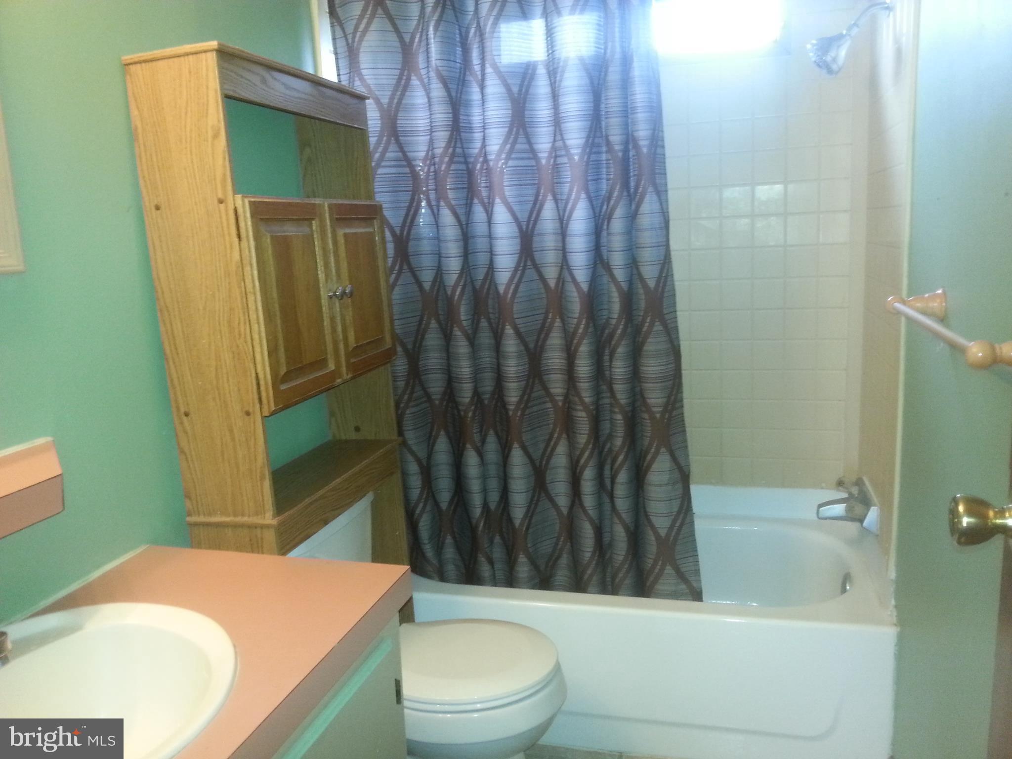 13132 National Pike Clear Spring, MD 21722 - Photo 18 of 20 Bath