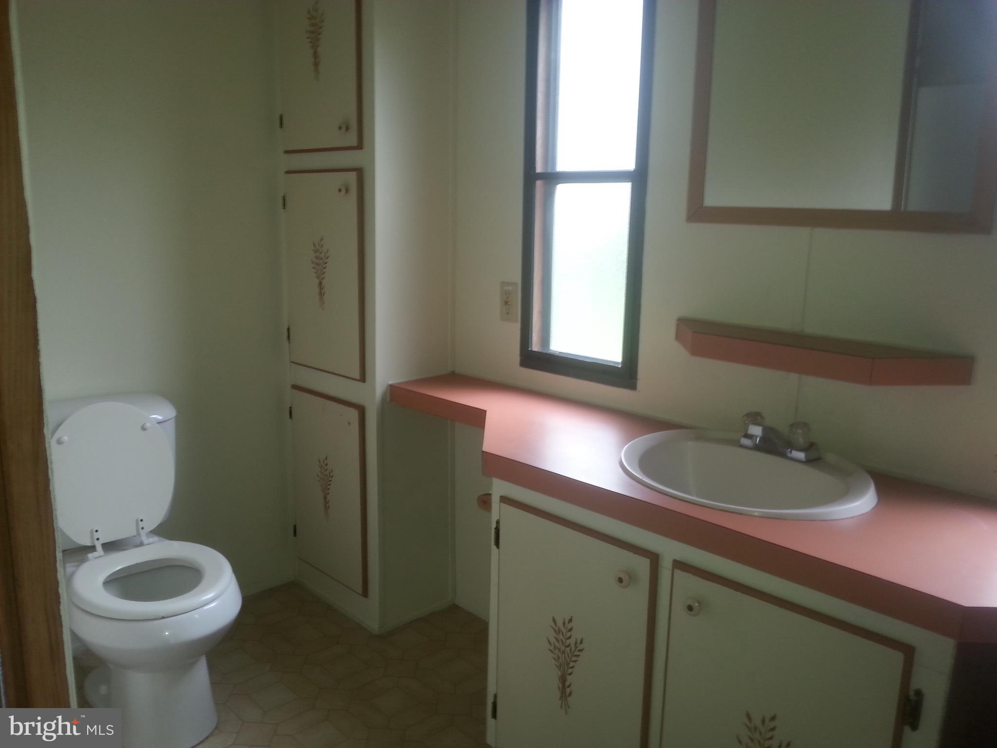 13132 National Pike Clear Spring, MD 21722 - Photo 9 of 20 Bath Master