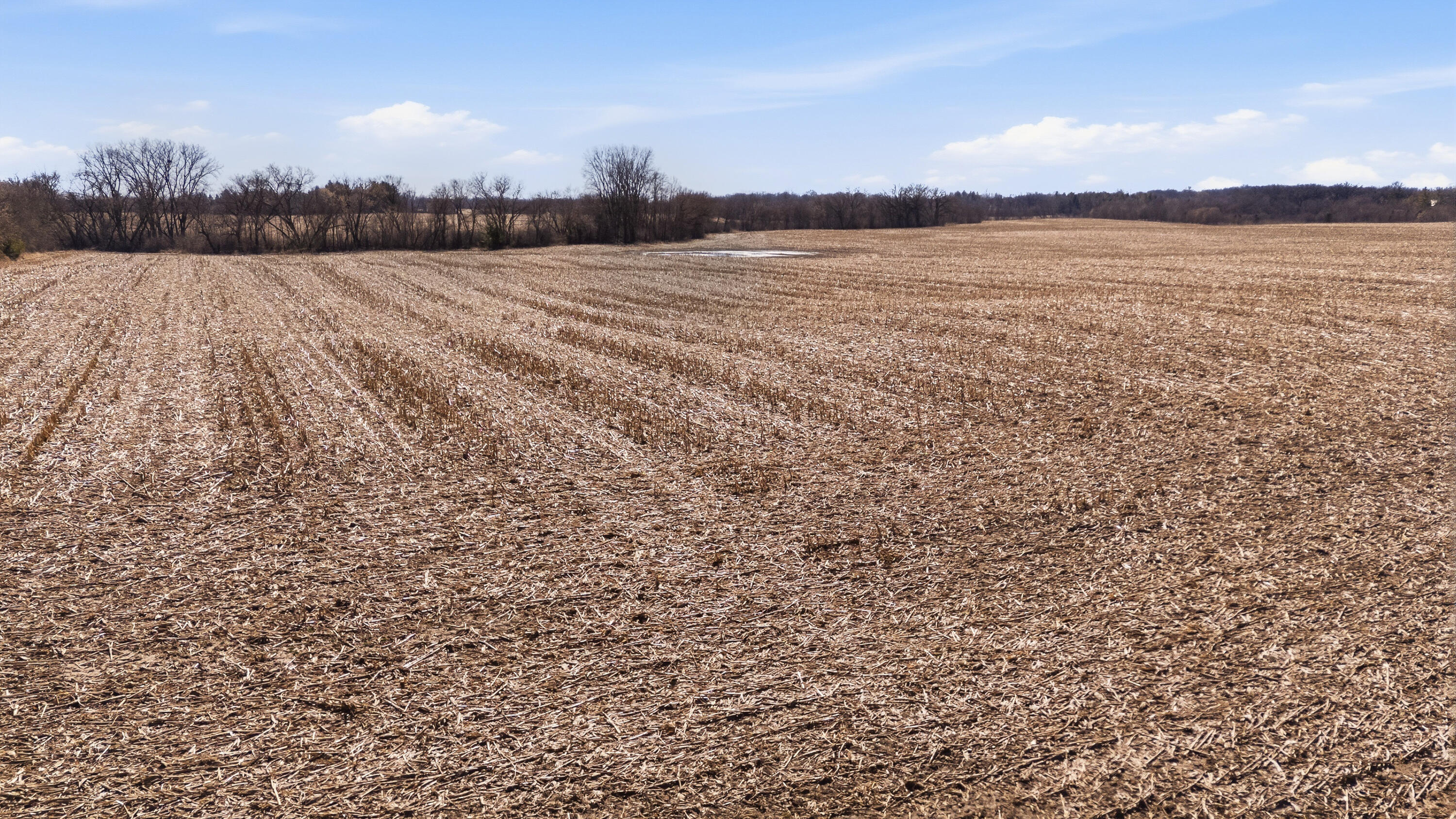 8319 3 Mile Road Raymond, WI 53126 - Photo 20 of 21 3 Mile Road-2 (1)
