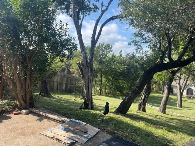 a view of a park with large trees