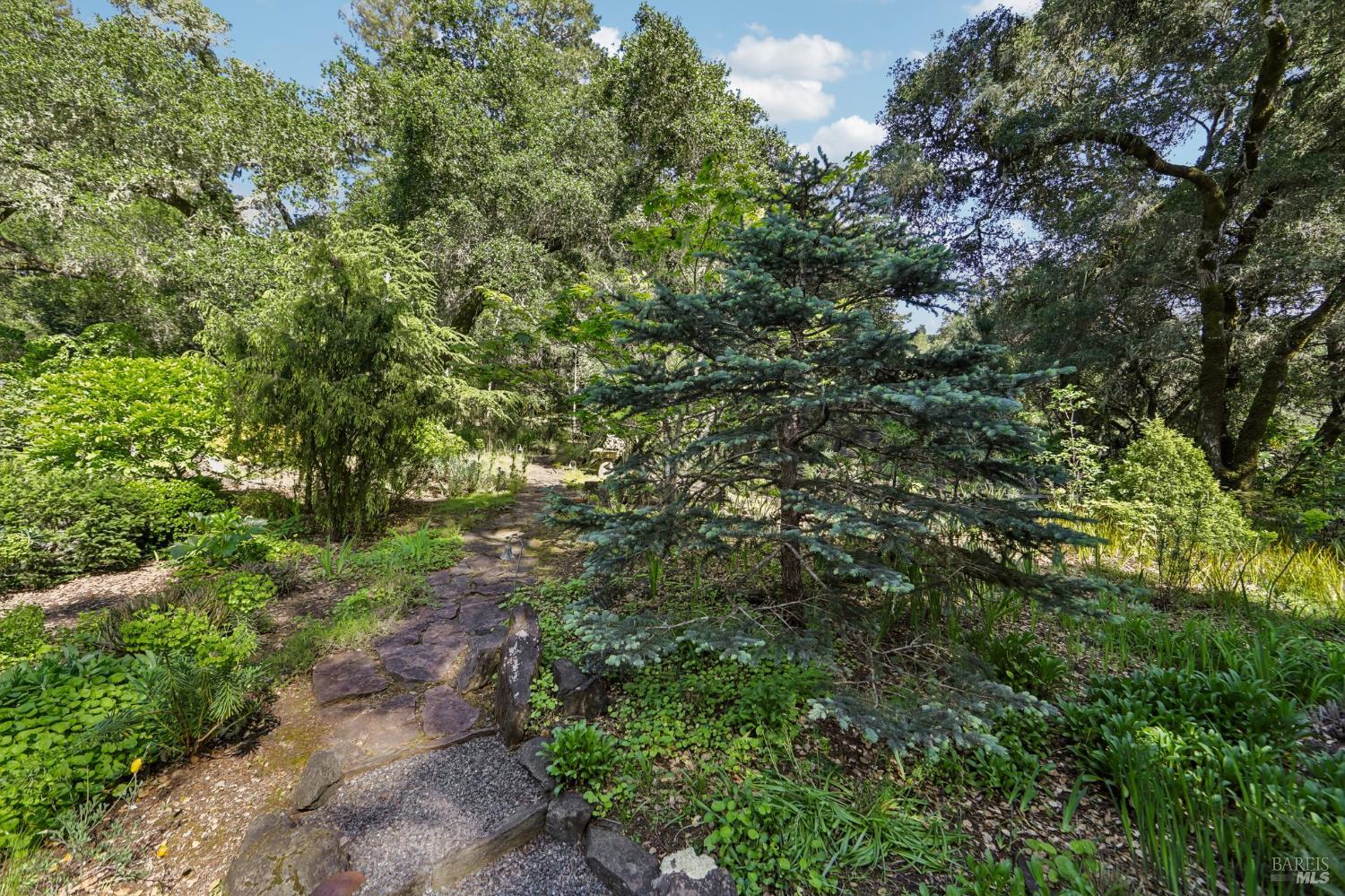 2515 Stepps Road Sebastopol, CA 95472 - Photo 63 of 93
