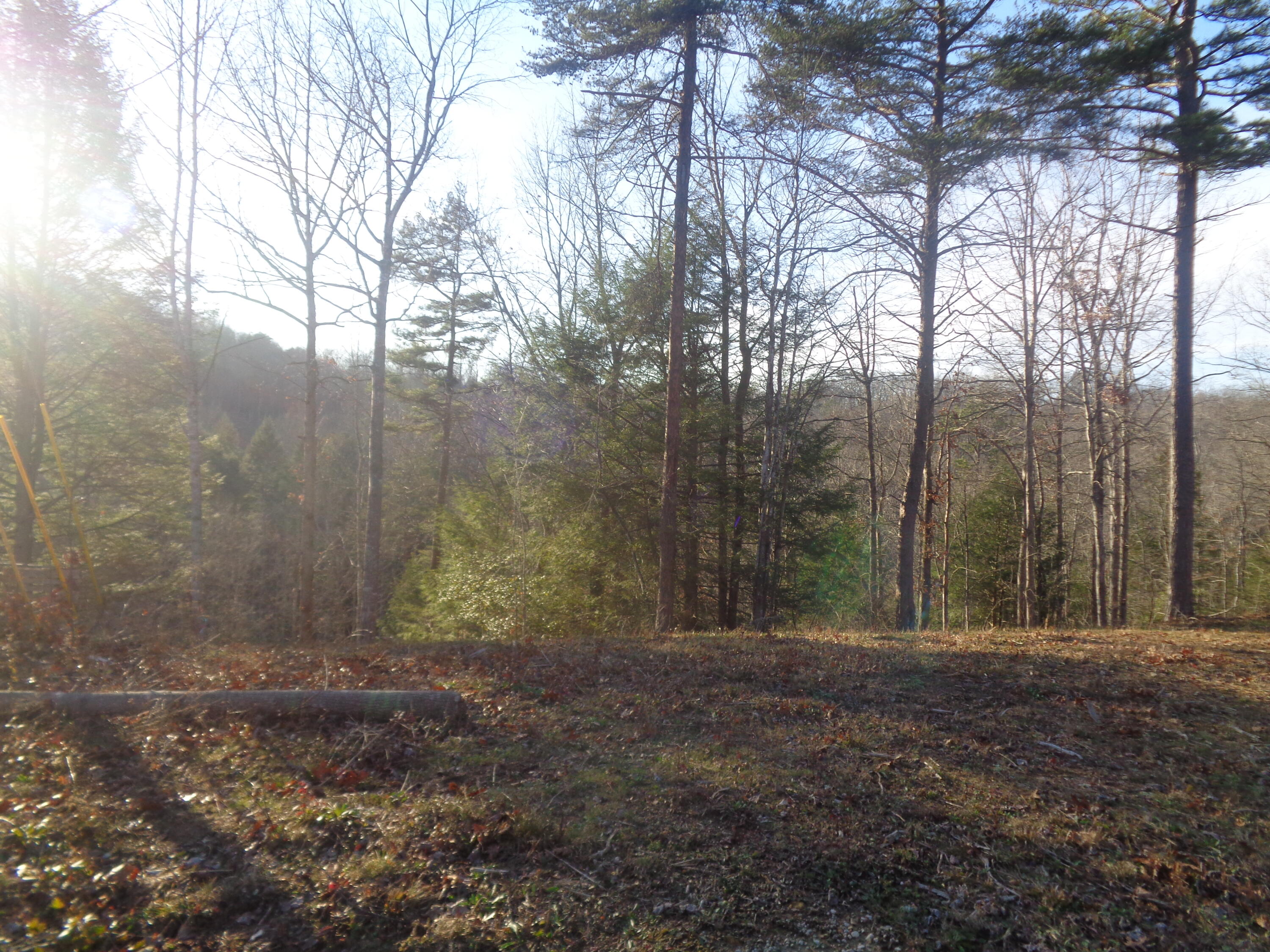 Lot 9 Fount Hubbard Road London, KY 40741 - Photo 8 of 27 DSC07432