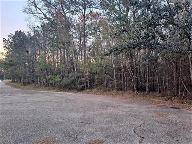 0 Surrey Lane Slidell, LA 70461 - Photo 7 of 10