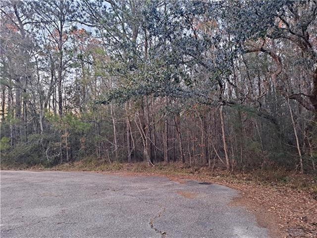 0 Surrey Lane Slidell, LA 70461 - Photo 8 of 10