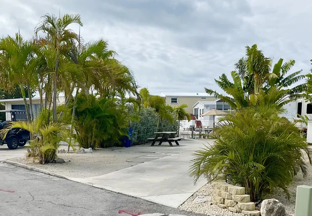 a row of palm trees in front of house