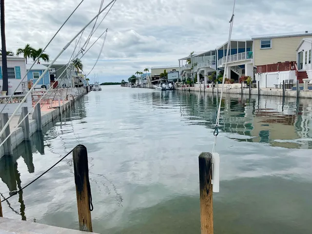 a view of multiple house