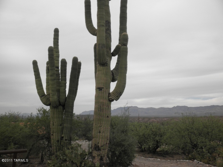 16201 Redington Road Benson, AZ 85602 - Photo 27 of 30 Gallery Image 27
