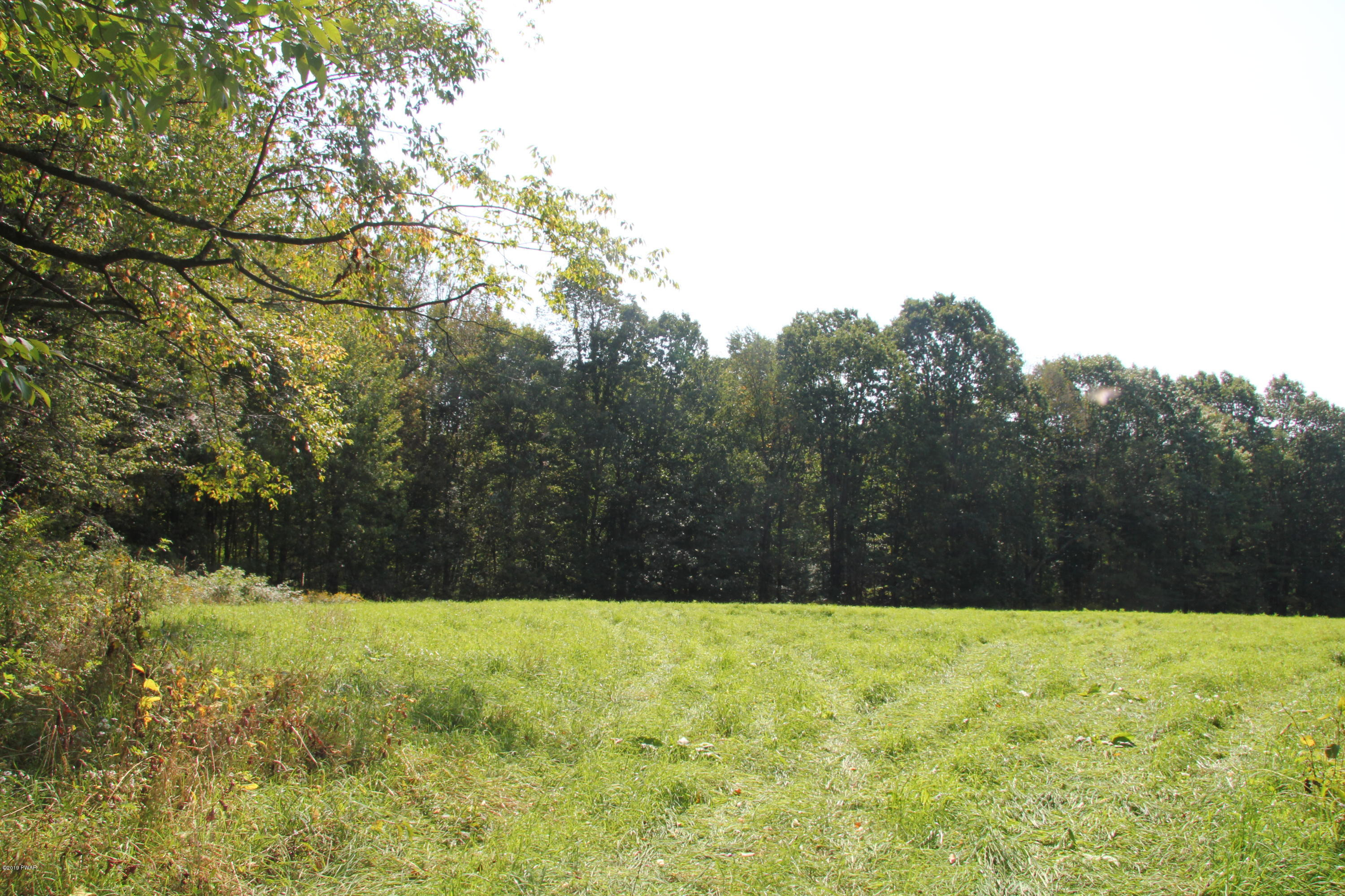 South Preston Road Lakewood, PA 18439 - Photo 9 of 16