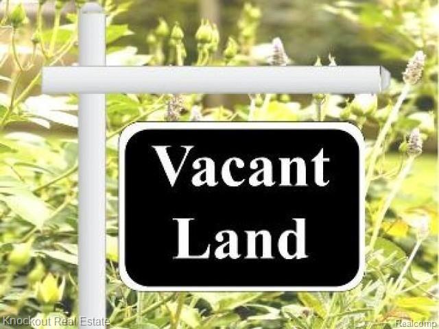 12000 Block Road Birch Run, MI 48415 - Photo 19 of 19