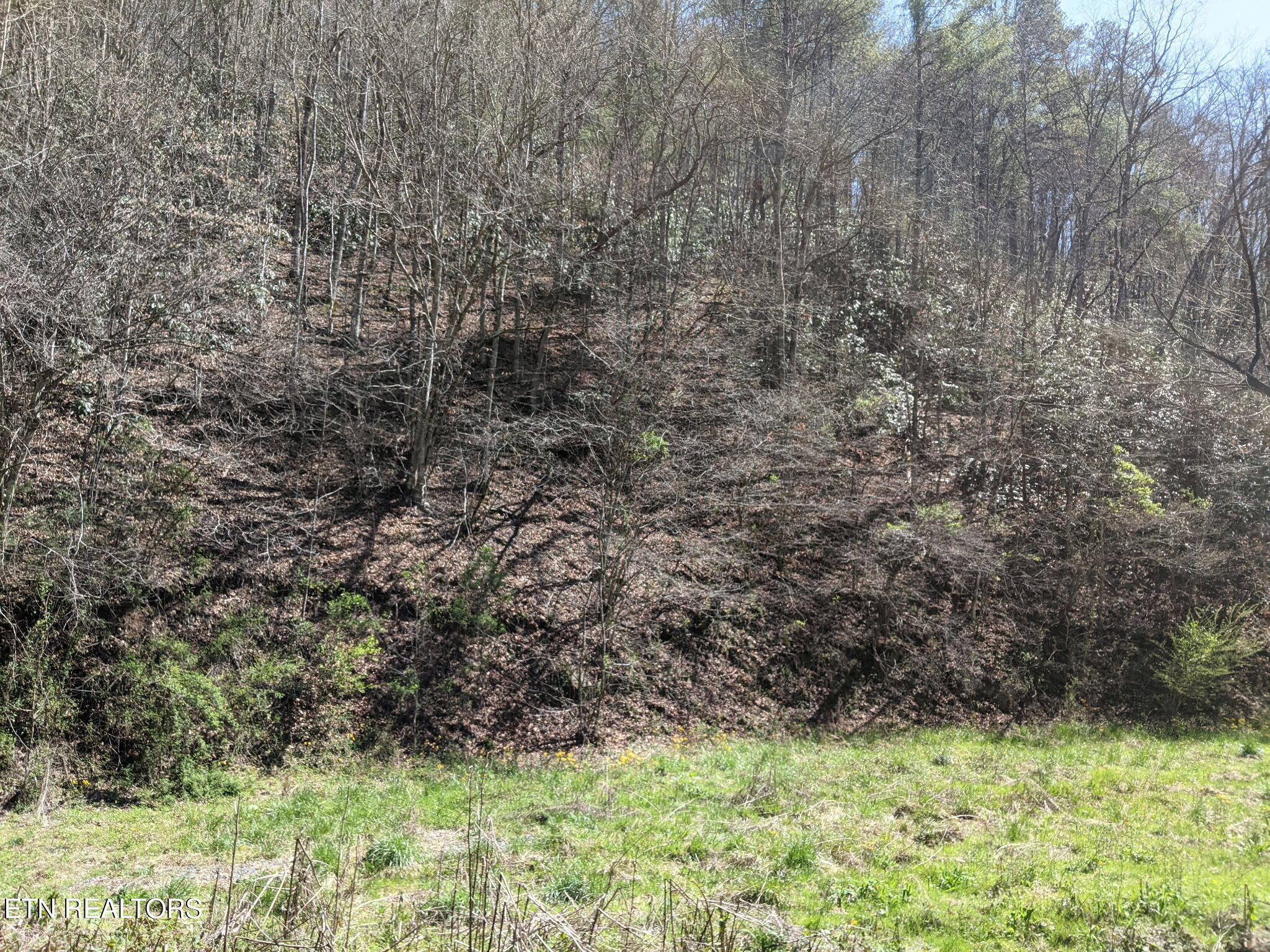 760 Black Branch Road Del Rio, TN 37727 - Photo 16 of 16 760 Black Branch Rd