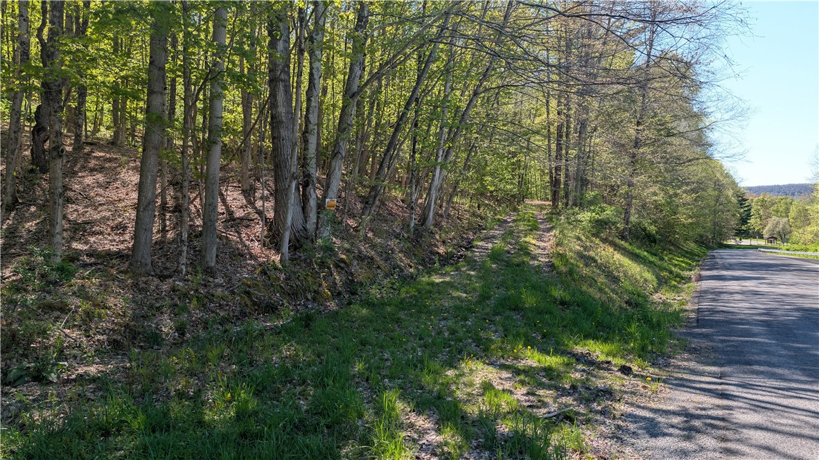 Lot 5 East River Road Andes, NY 13731 - Photo 15 of 39