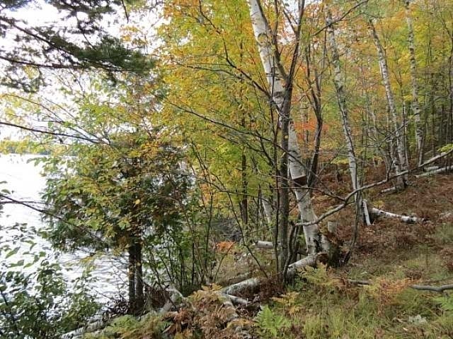 On Agony Point Road Presque Isle, WI 54557 - Photo 8 of 15 Gallery Image 8