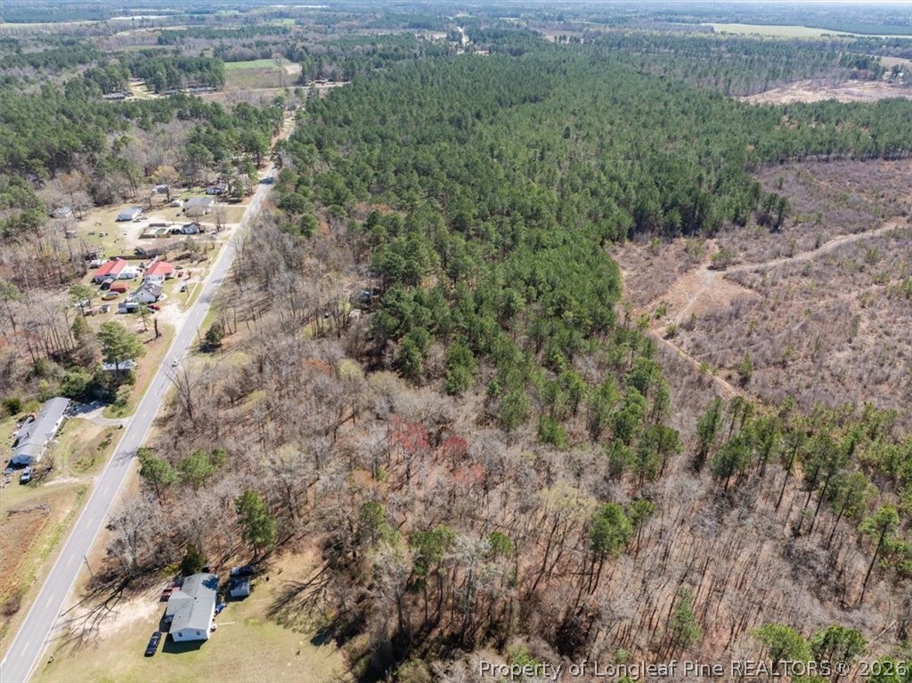 532 North Shannon Road Red Springs, NC 28377 - Photo 10 of 16 a view of a yard with trees