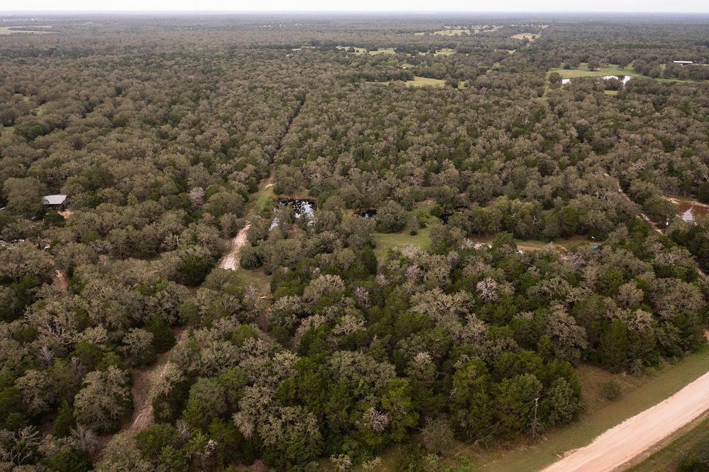 7200 Vista Ranch Road Smithville, TX 78957 - Photo 1 of 1 Aerial view of property and surrounding area featuring a forest