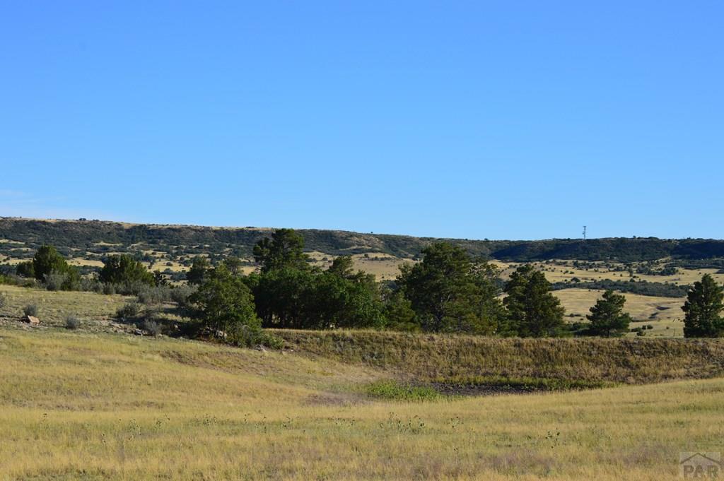 Tbd Tbd Plata Peak Rye, CO 81069 - Photo 4 of 11