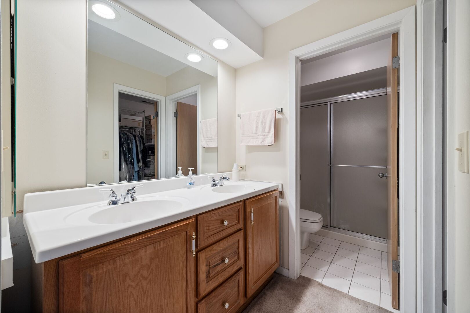 701 Garth Road Wheeling, IL 60090 - Photo 15 of 23 a bathroom with a sink and a mirror