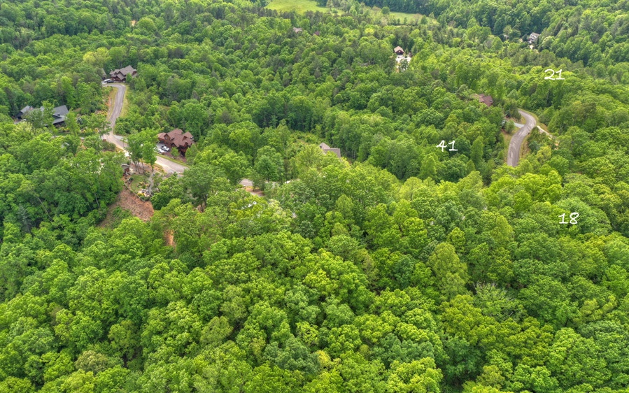 31 Settlers Ridge Road Ellijay, GA 30540 - Photo 9 of 41 Additional View