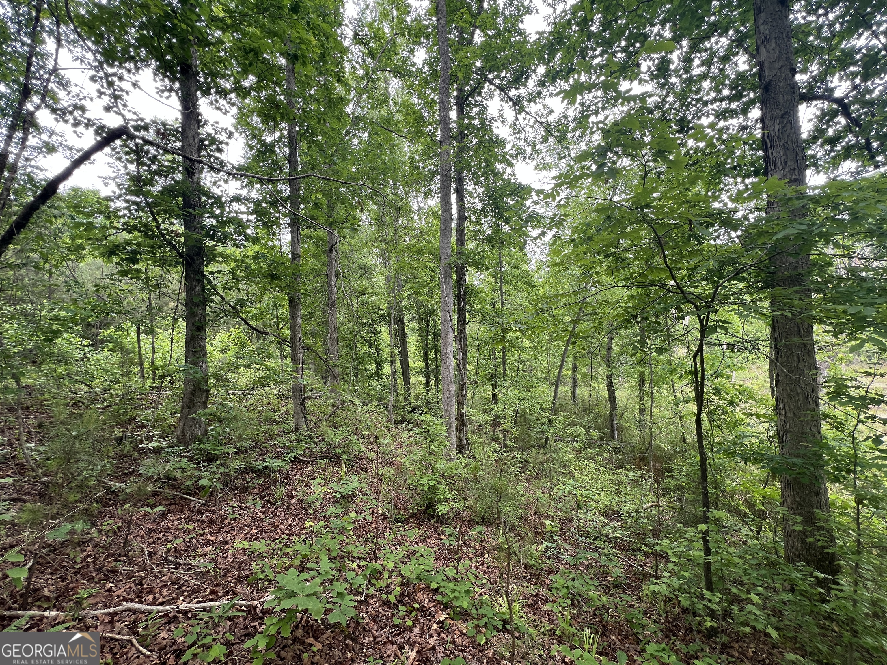 0 Bethlehem Church Road Grantville, GA 30220 - Photo 12 of 22