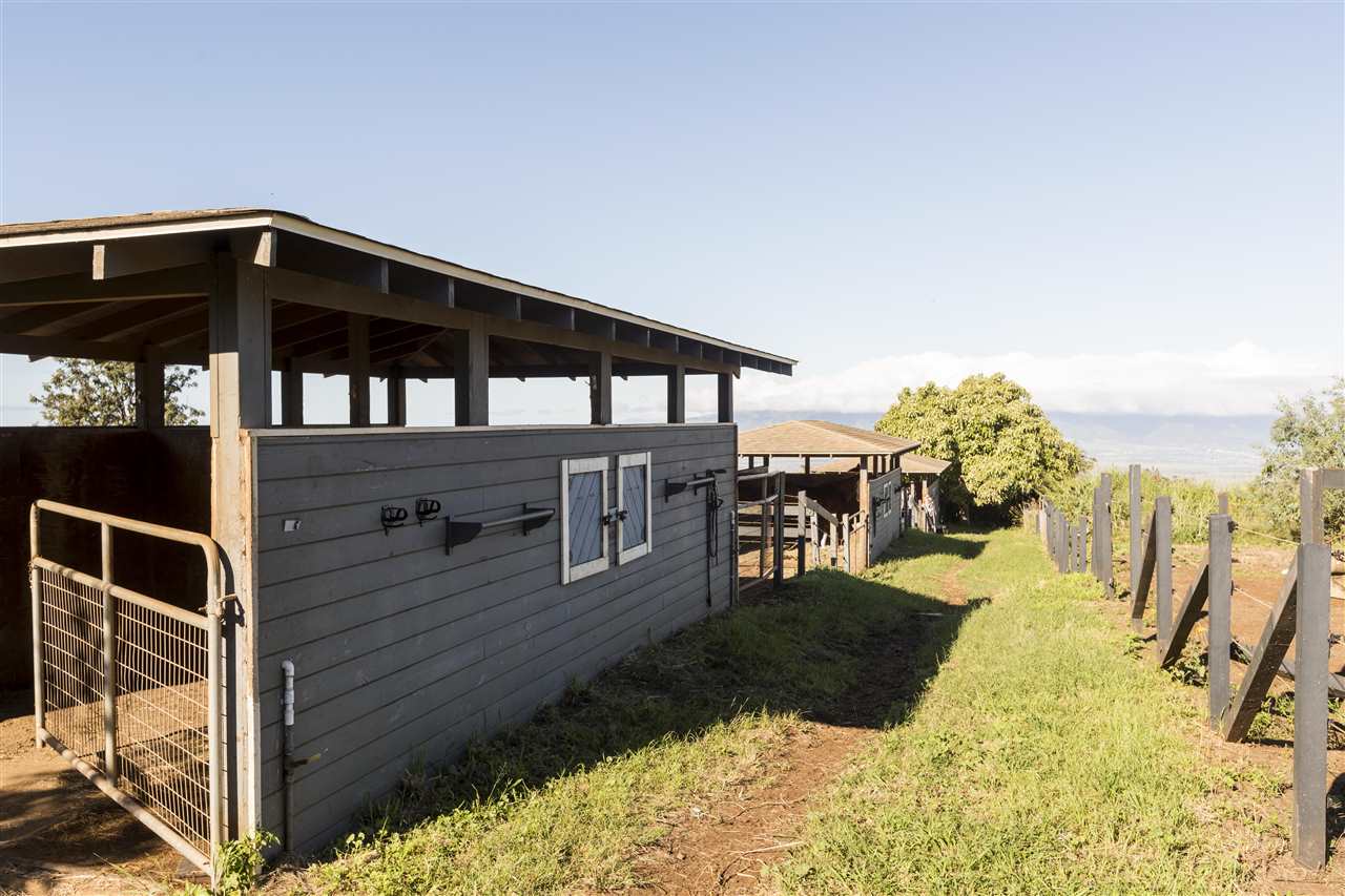 686 Omaopio Road Kula, HI 96790 - Photo 17 of 33